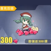 300钻头