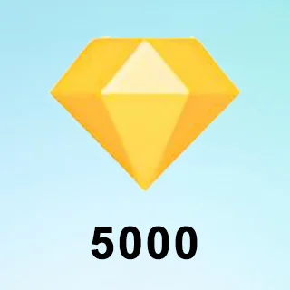 5000 钻石